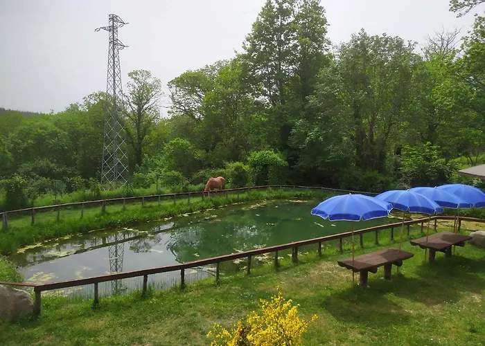 Francesca Отель типа 